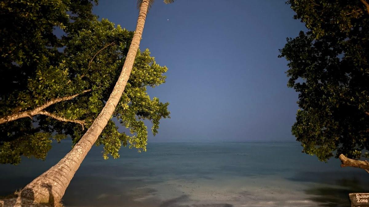 Tilar Siro, Andamans - CGH Earth – photo 3