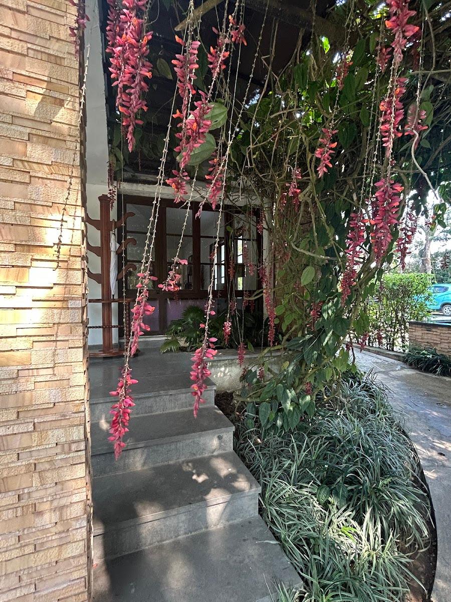 Amanvana Spa Resort Coorg – photo 4