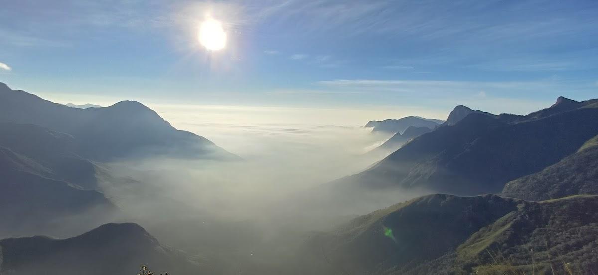 Cloud Farm Munnar – photo 4
