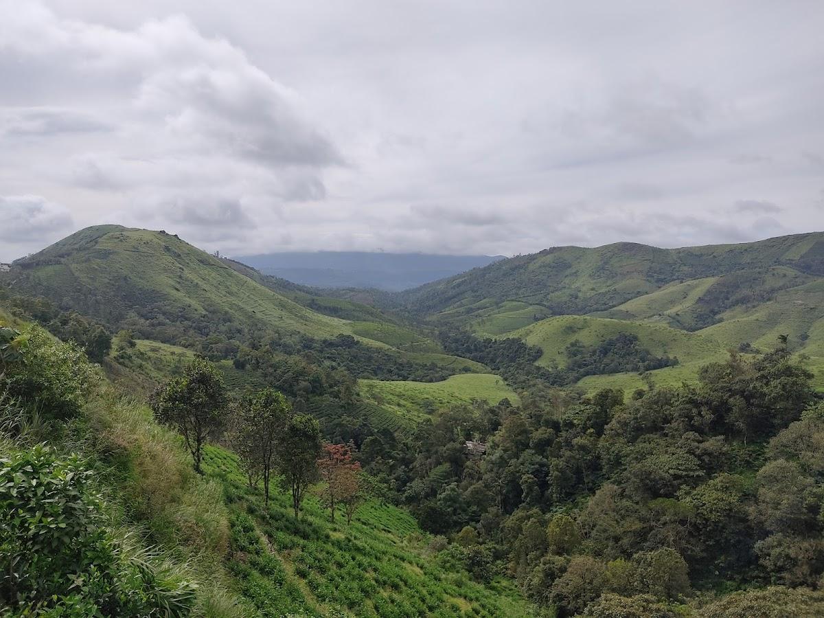 Vagamon Pvt Pool Villa – photo 3