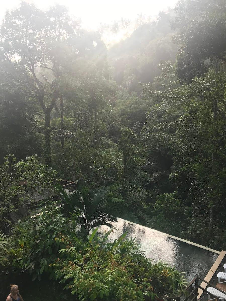 Bali Jungle Resort – photo 1