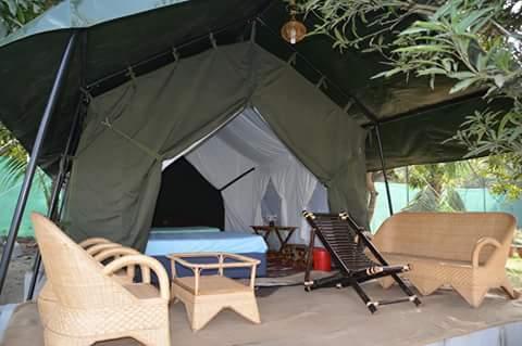 Jungle Tent – photo 2