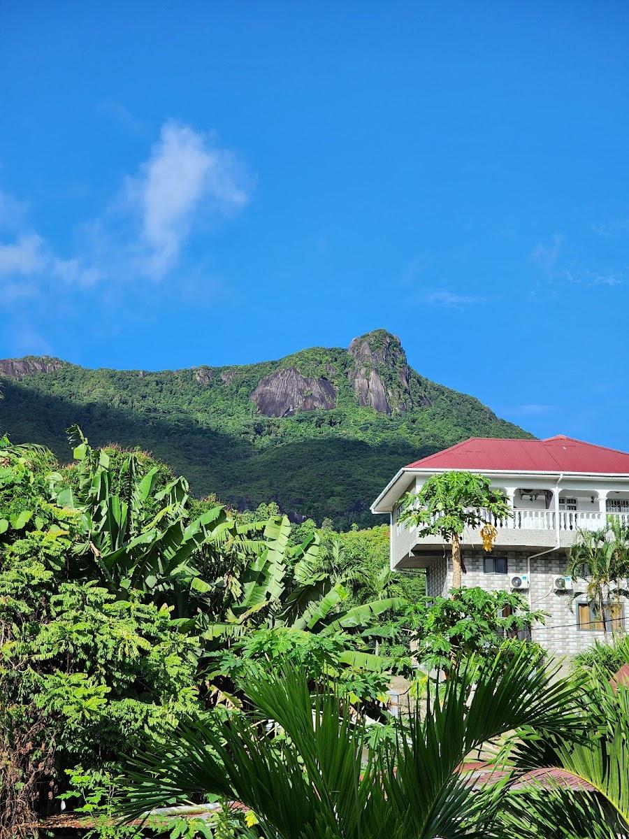 la maison hibiscus – photo 3