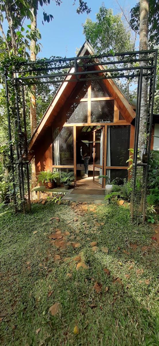 Fern Valley Forest View Cottages – photo 1