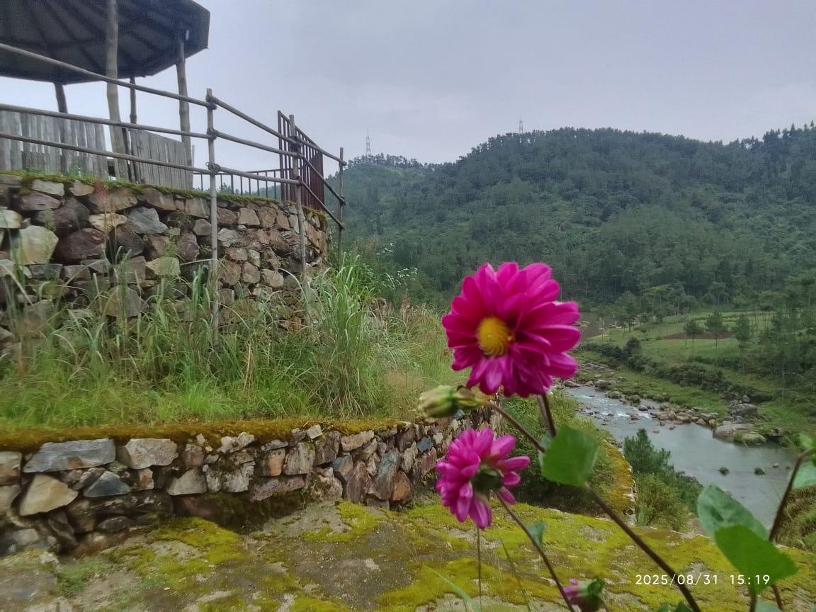 Mystical Rose Resort and Cascade Park – photo 1