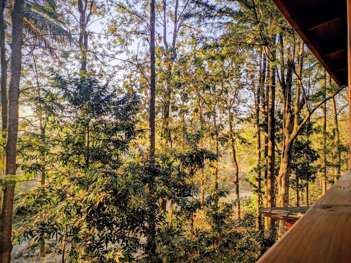 Citrus Trail Farm & Kitchen (Reservation mandatory, WhatsApp only) – photo 4